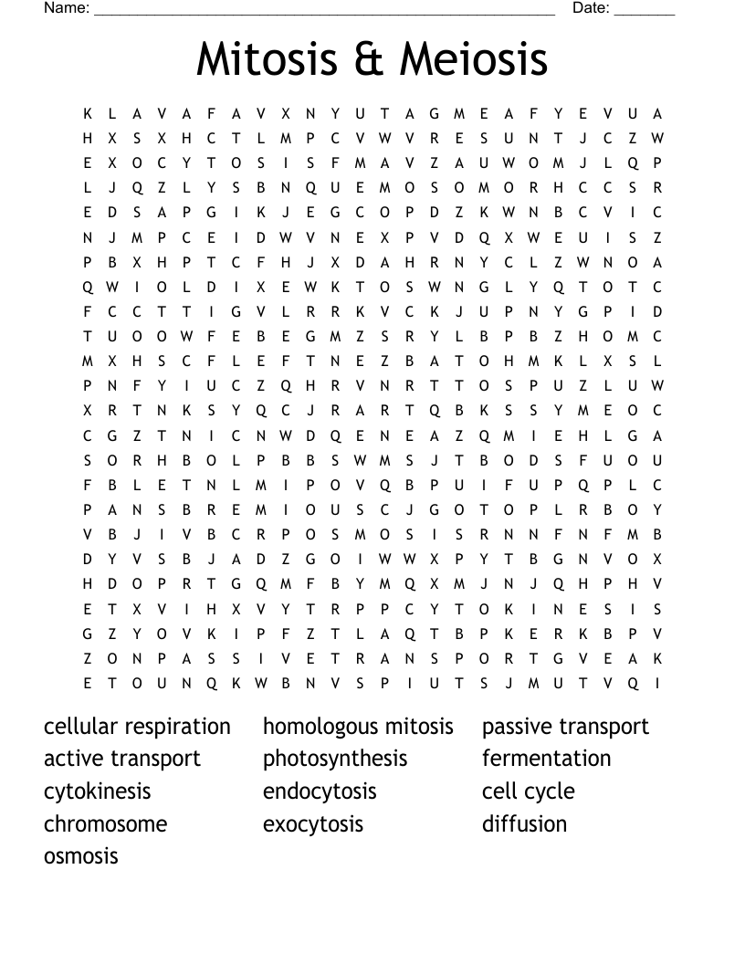 Mitosis & Meiosis Word Search
