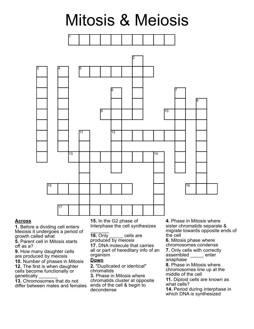 Mitosis & Meiosis Crossword