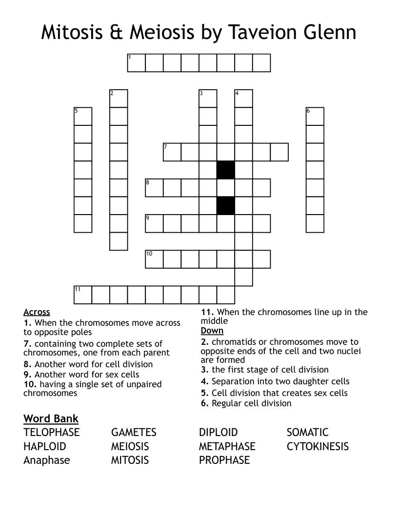 Mitosis & Meiosis by Taveion Glenn Crossword