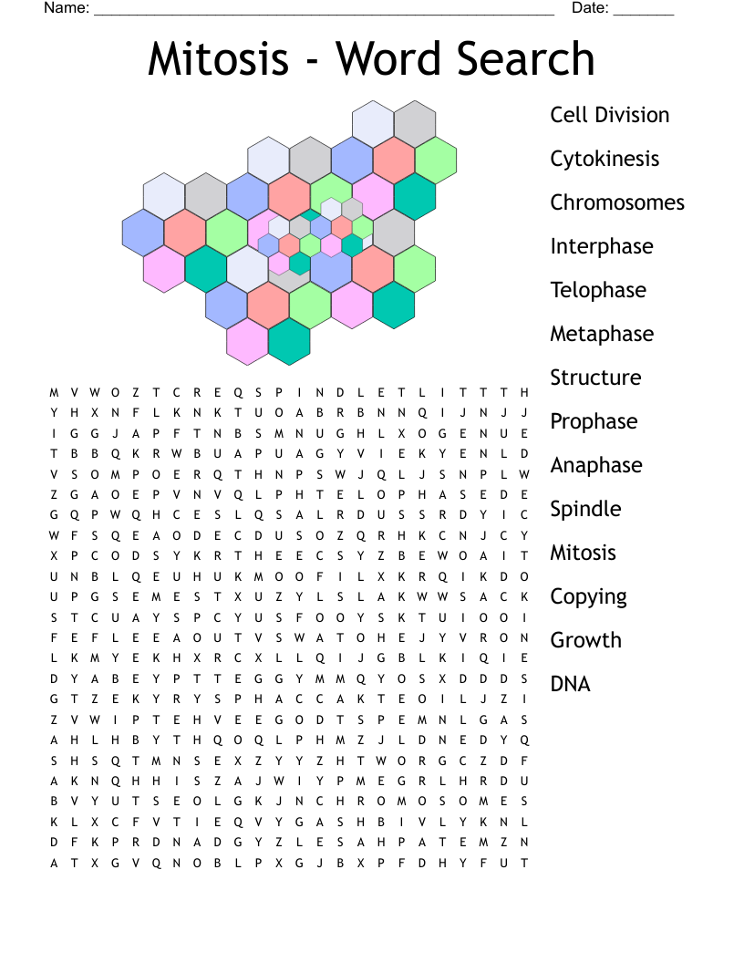 Mitosis - Word Search