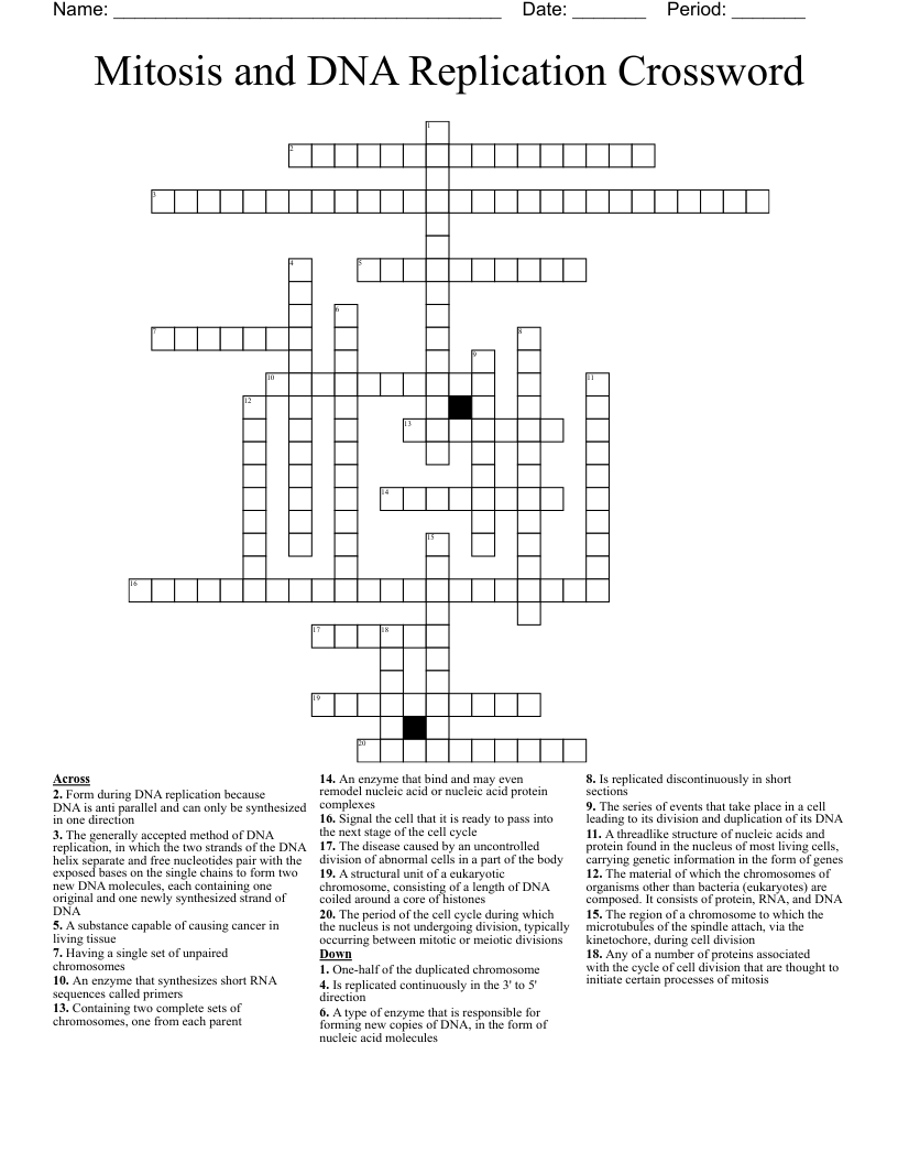 Mitosis and DNA Replication Crossword