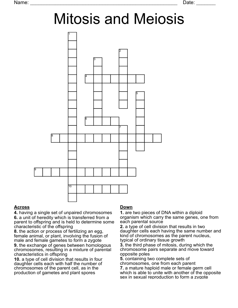 Mitosis and Meiosis Crossword