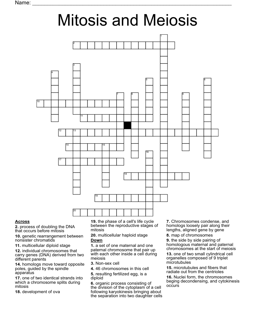 Mitosis and Meiosis Crossword