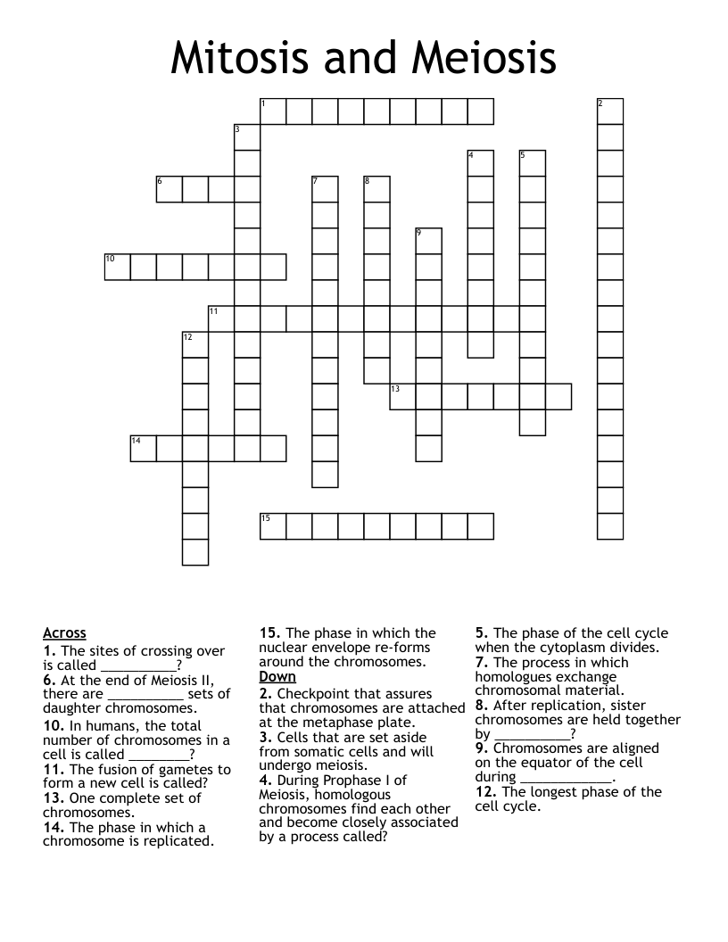 Mitosis and Meiosis Crossword
