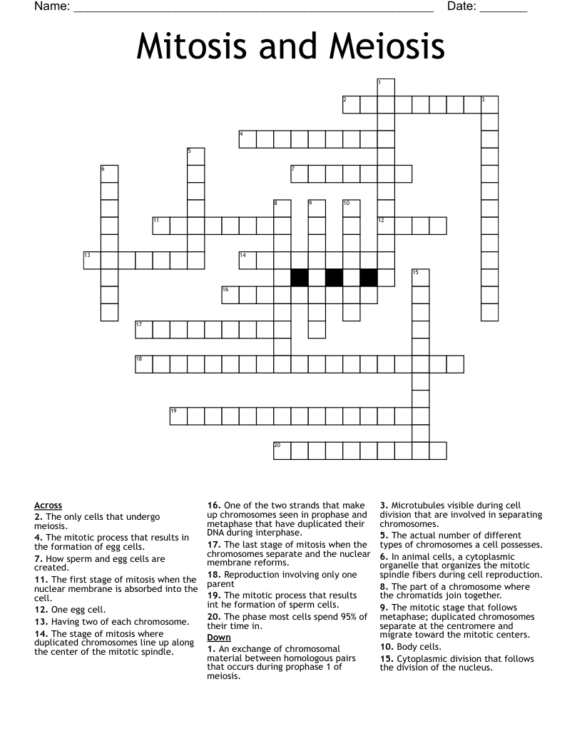 Mitosis and Meiosis Crossword