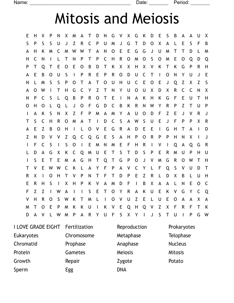 Mitosis and Meiosis  Word Search