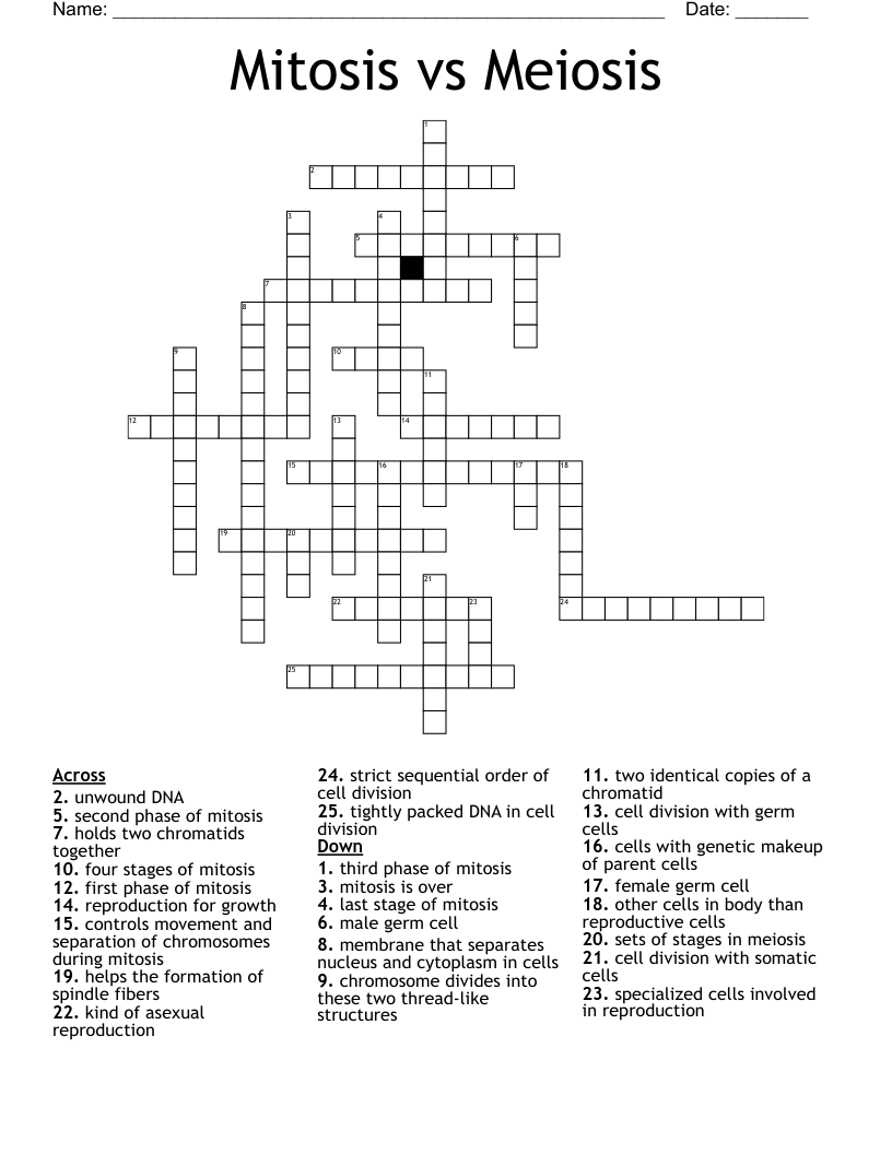 Mitosis vs Meiosis Crossword