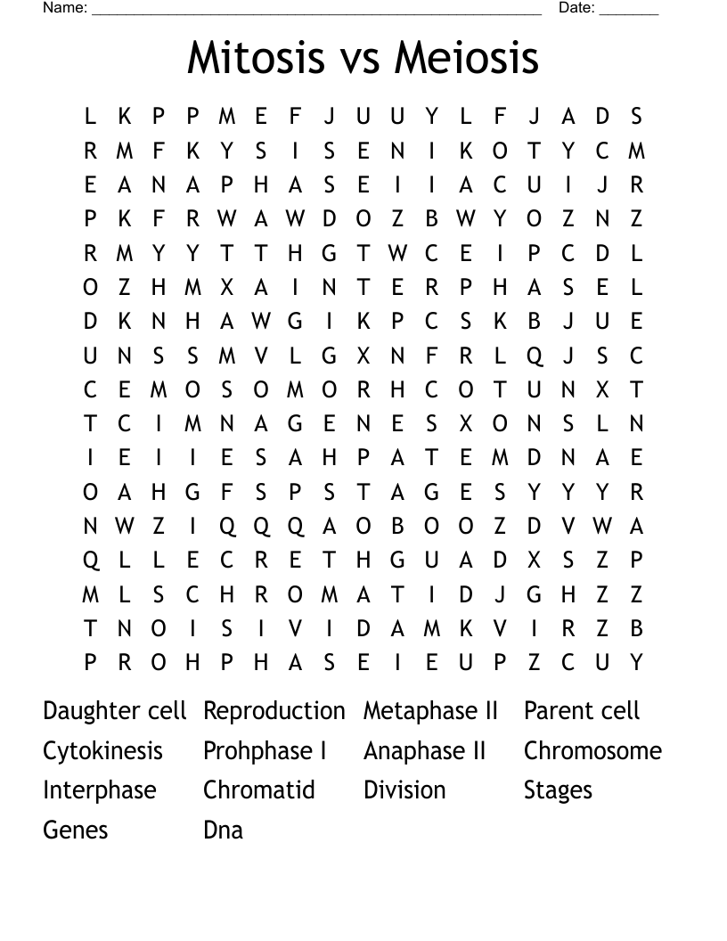 Mitosis vs Meiosis  Word Search