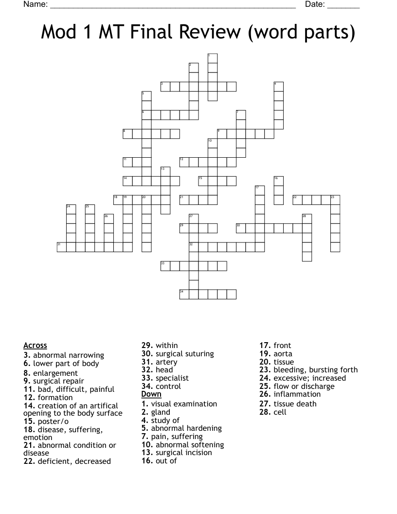 Mod 1 MT Final Review (word parts) Crossword