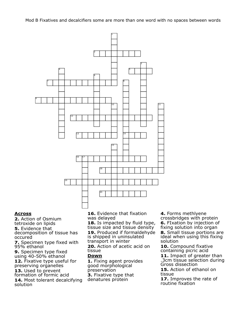 Mod B Fixatives and decalcifiers some are more than one word with no spaces between words Crossword