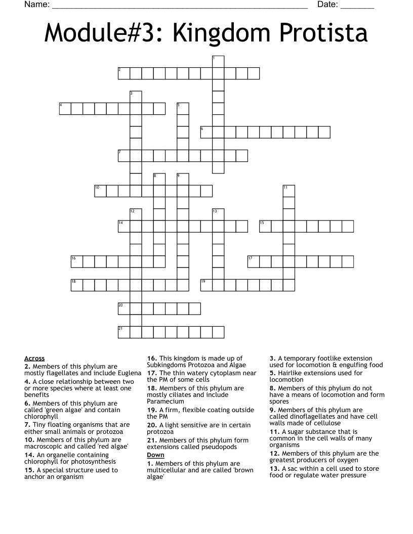 Module#3: Kingdom Protista Crossword