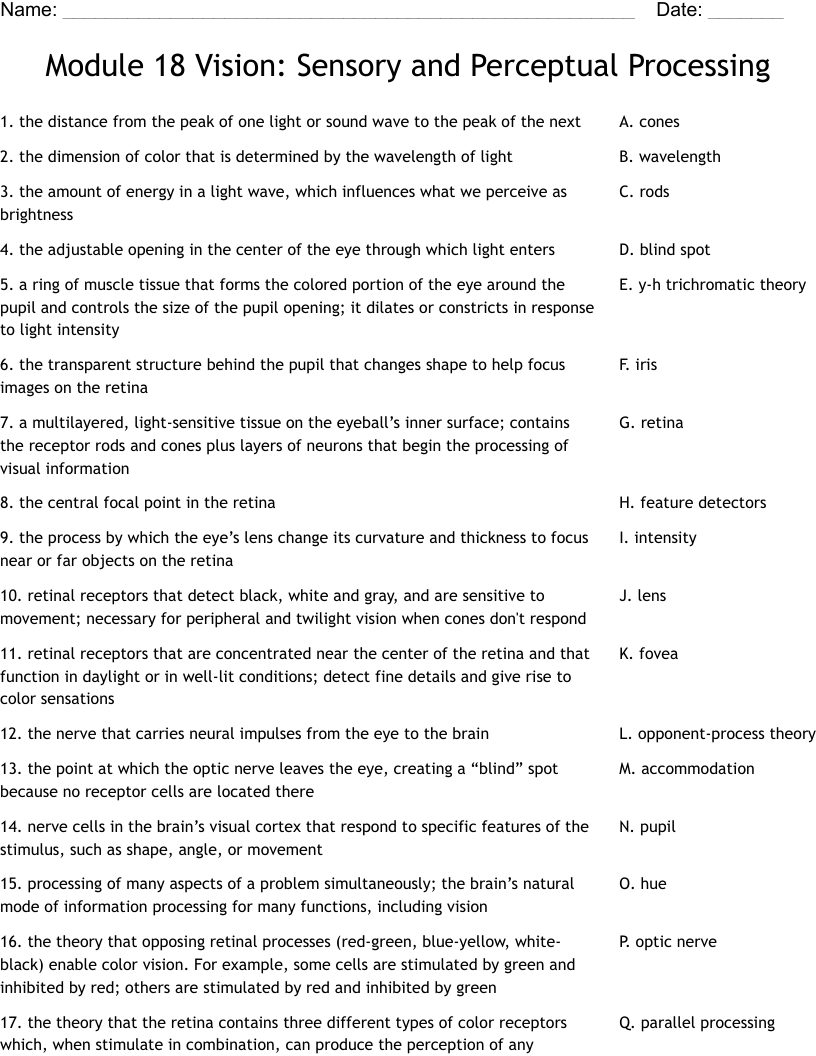 Module 18 Vision: Sensory and Perceptual Processing  Worksheet