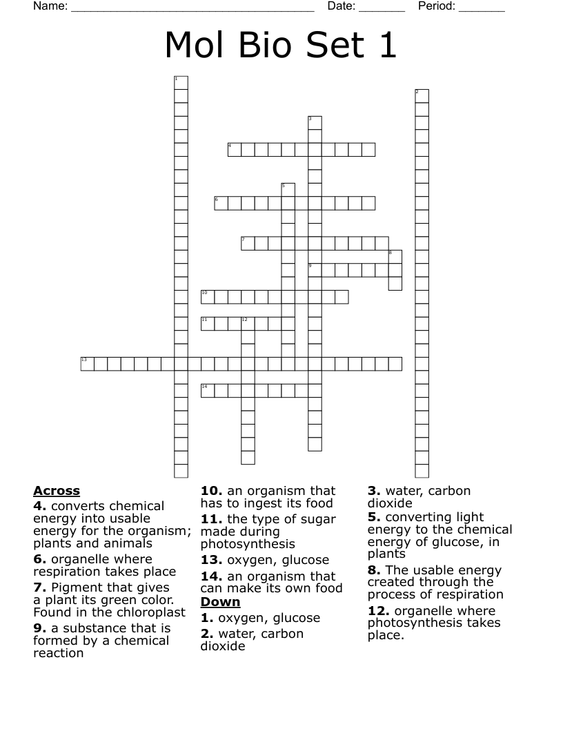 Mol Bio Set 1 Crossword