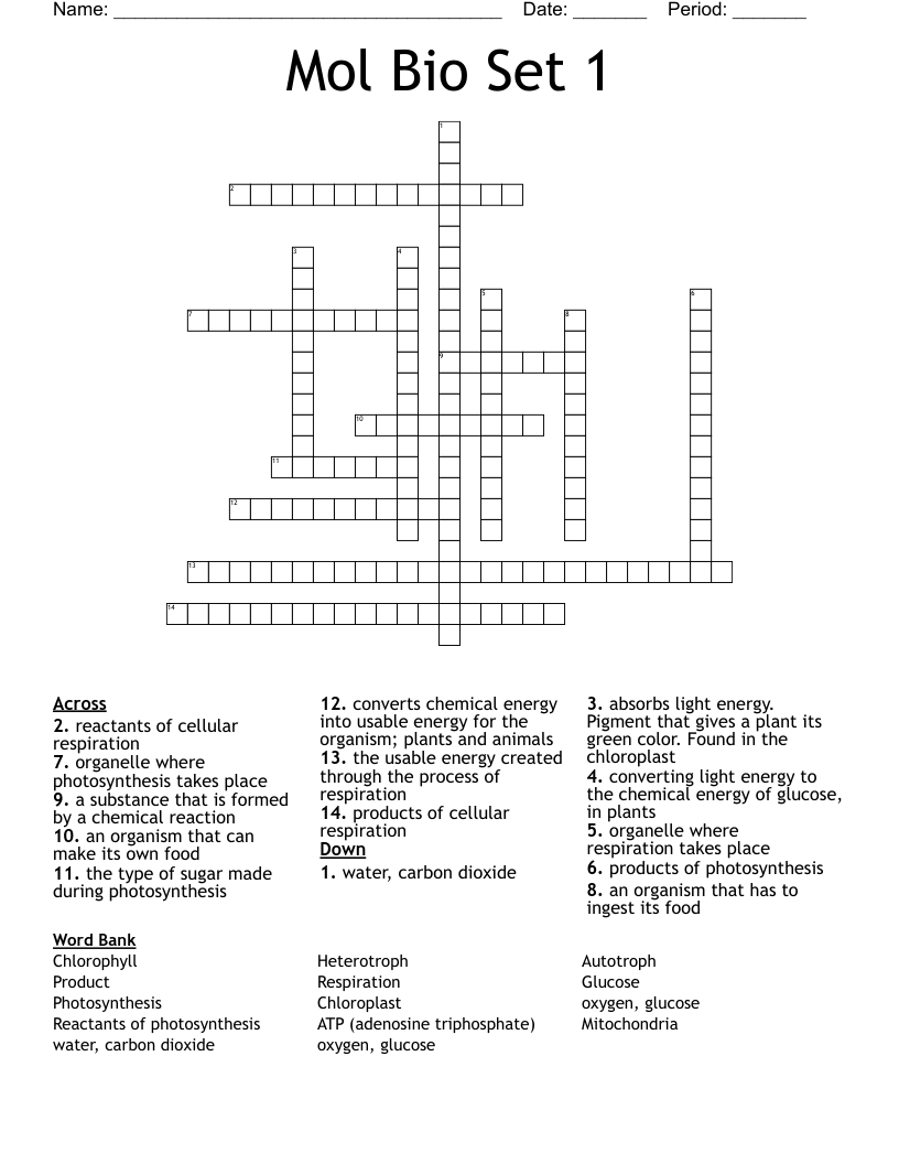 Mol Bio Set 1 Crossword