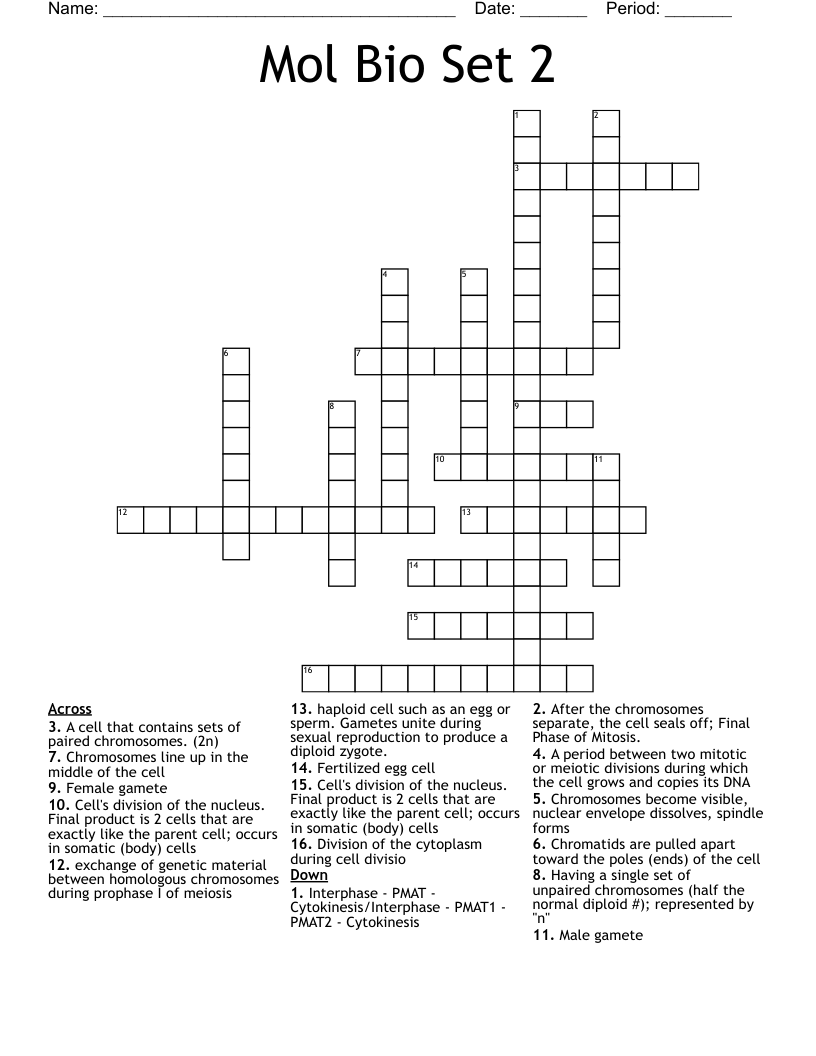 Mol Bio Set 2 Crossword