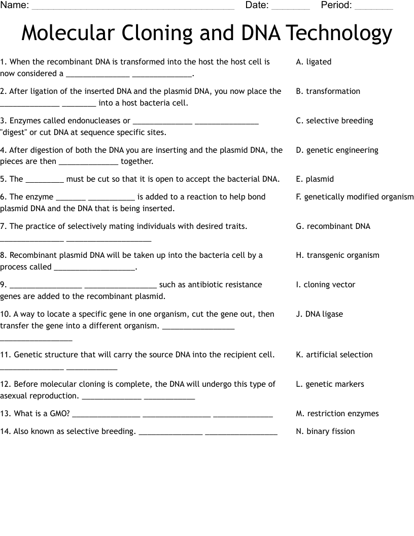 Molecular Cloning and DNA Technology Worksheet