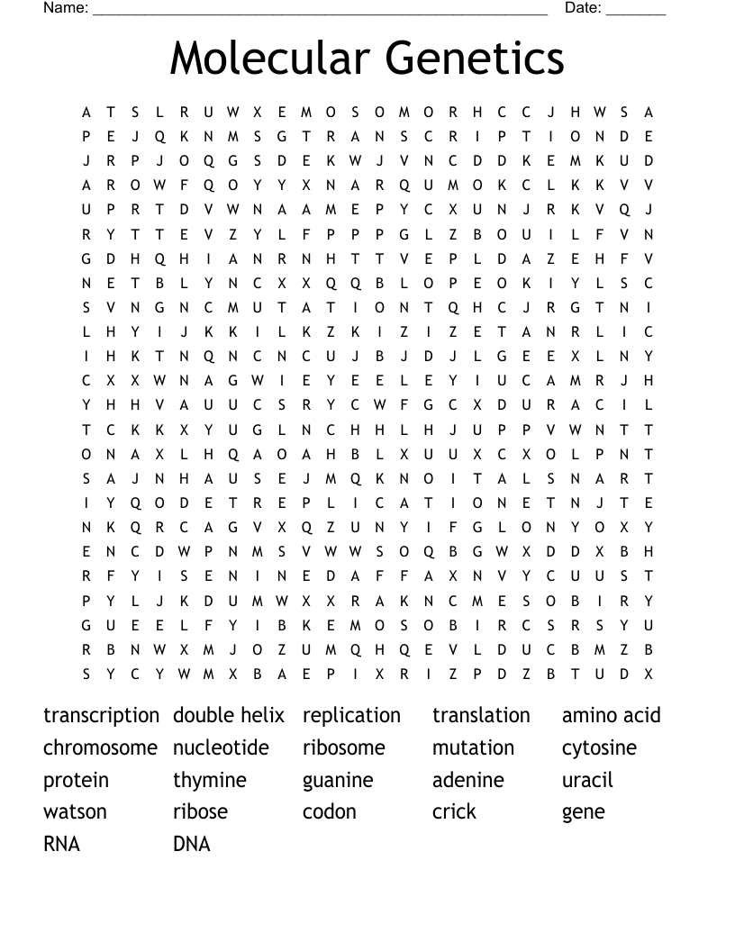 Molecular Genetics Word Search