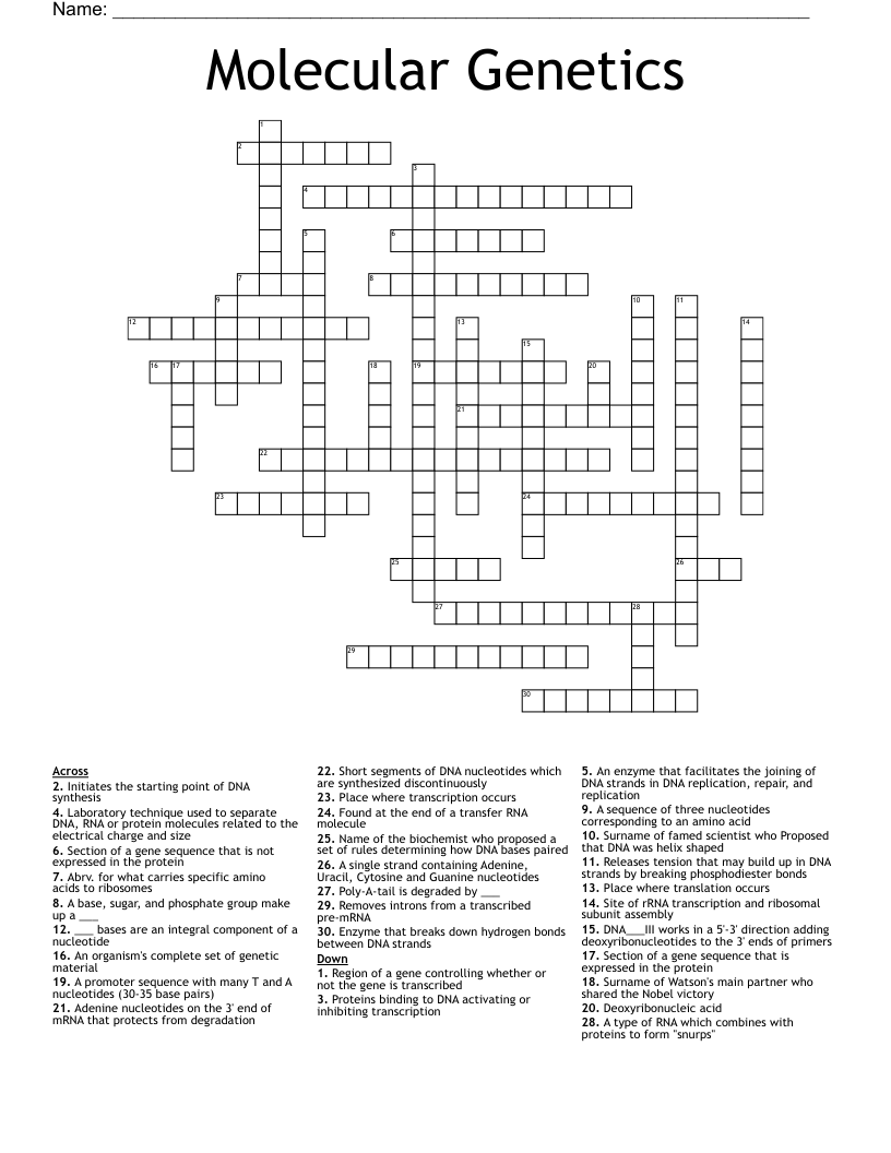 Molecular Genetics Crossword