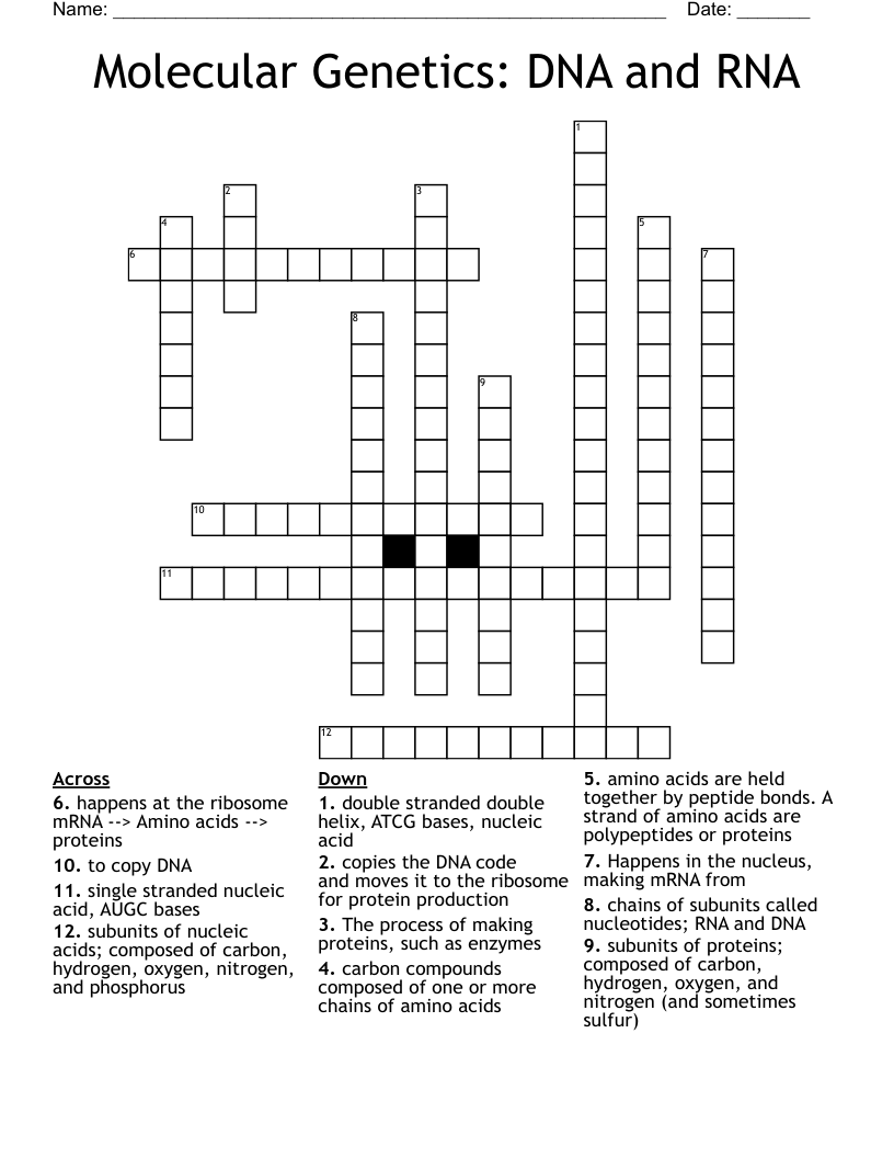 Molecular Genetics: DNA and RNA Crossword