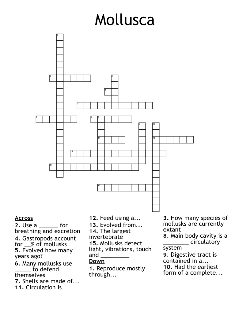 Mollusca Crossword