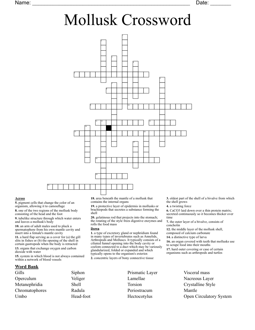 Mollusk Crossword