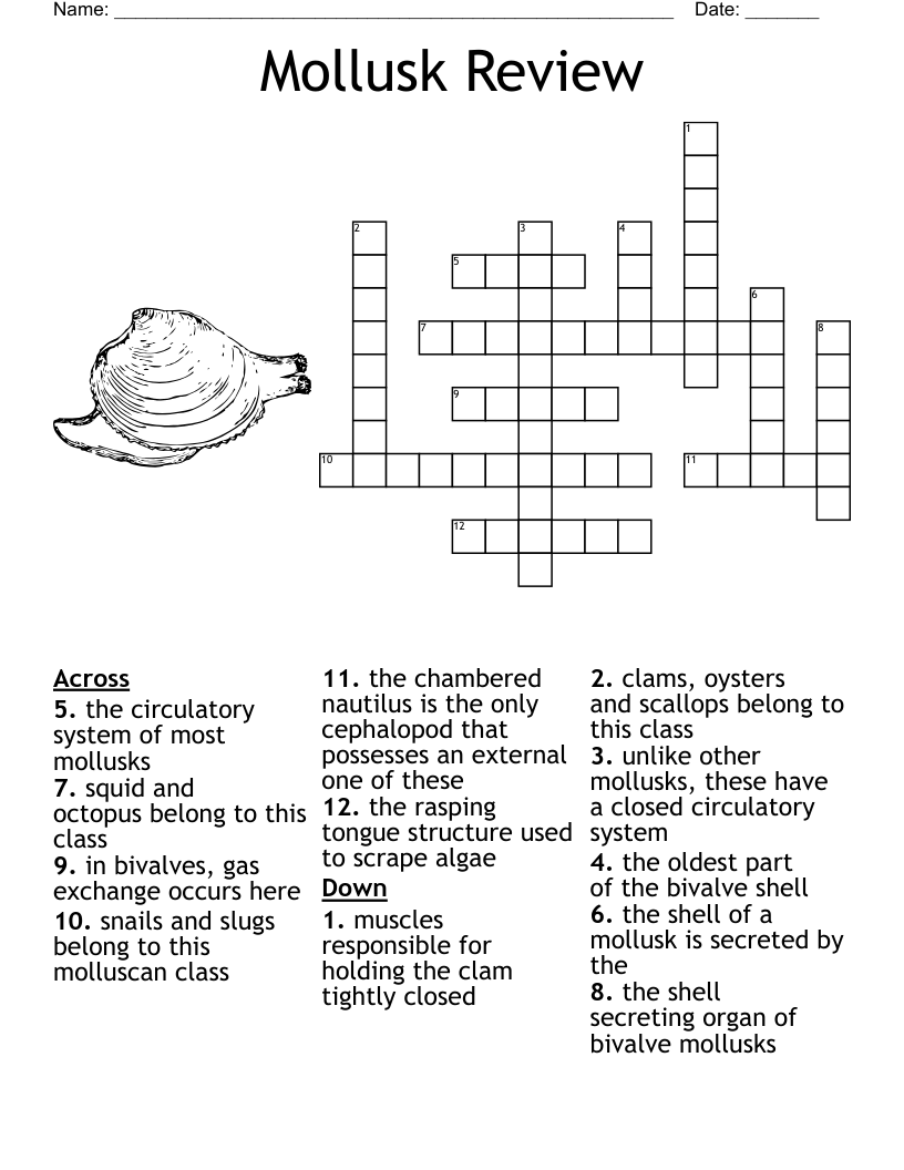 Mollusk Review Crossword
