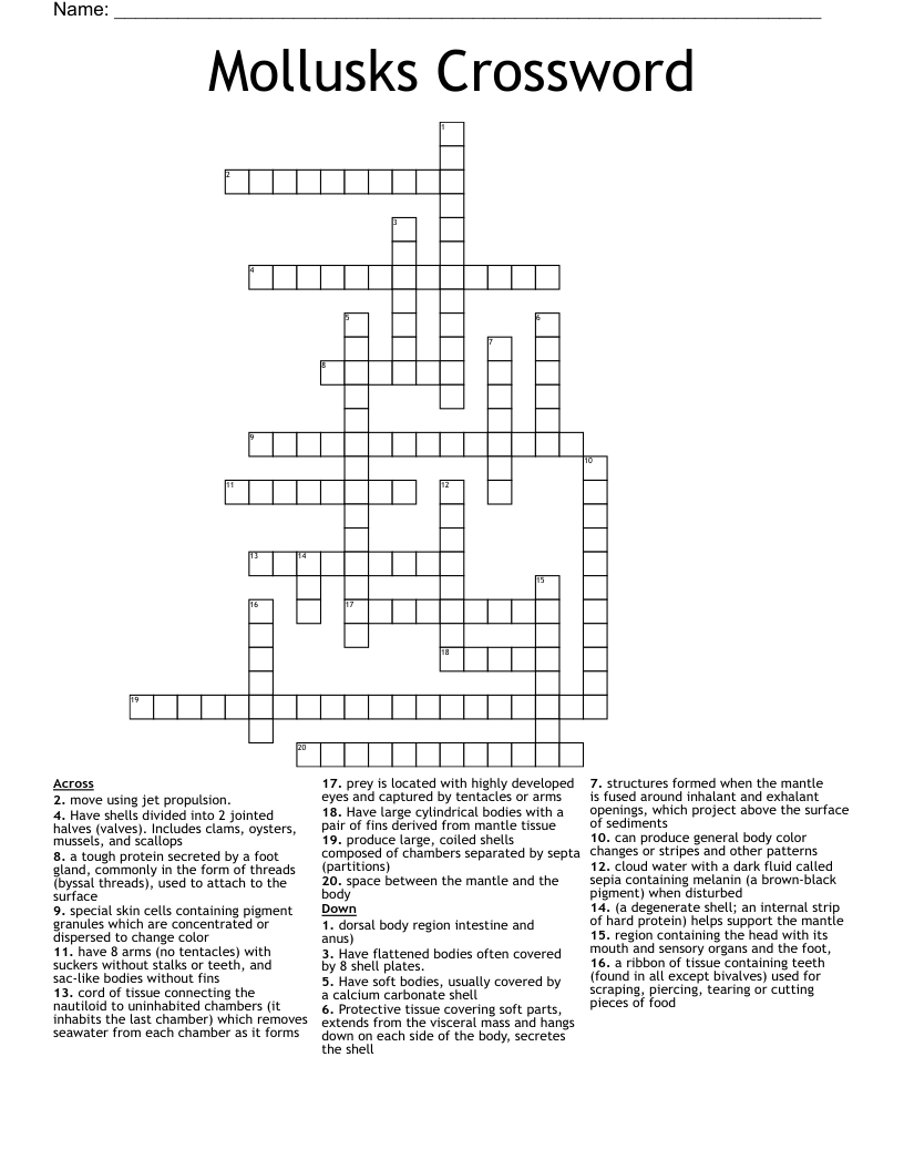 Mollusks Crossword
