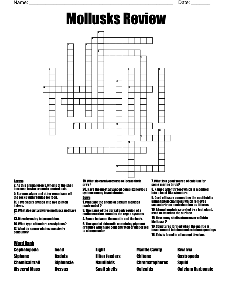 Mollusks Review  Crossword