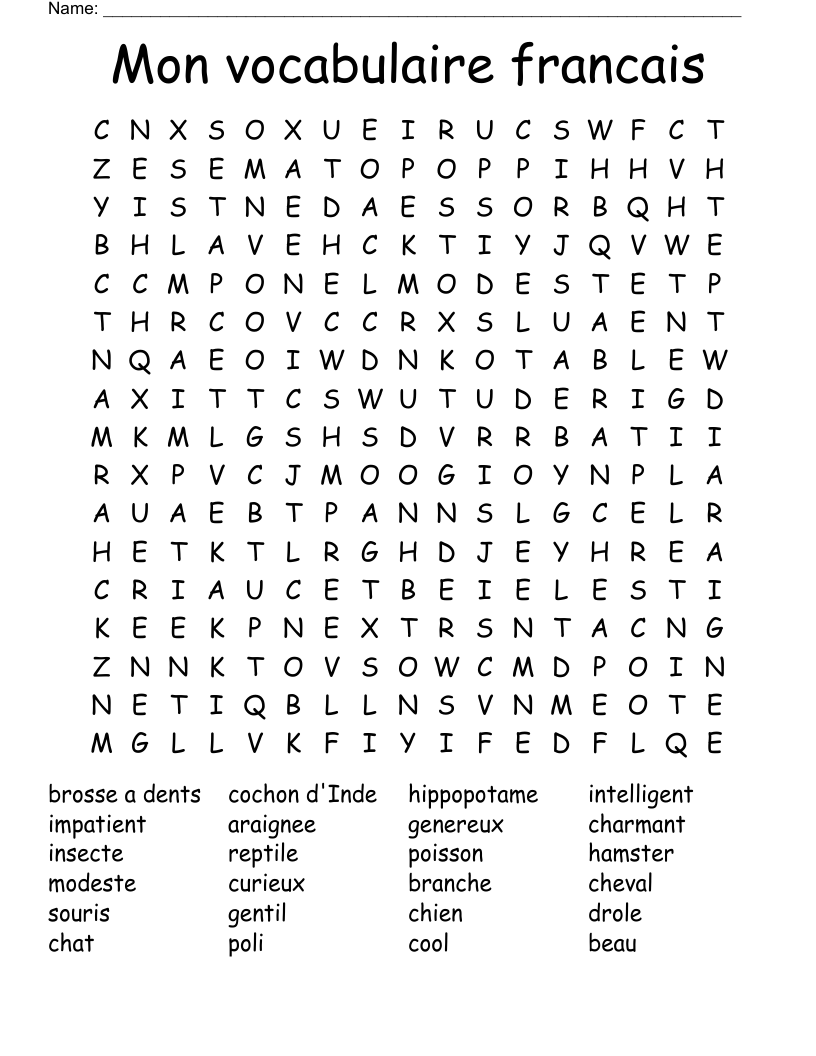 Mon vocabulaire francais Word Search