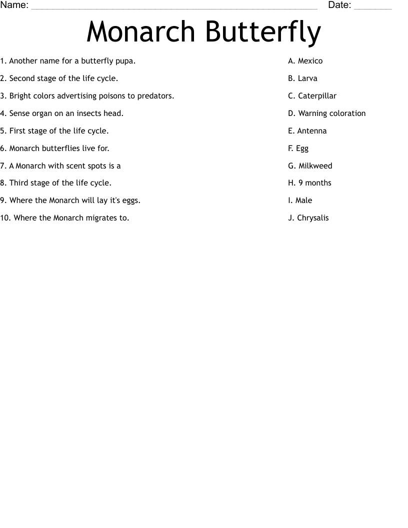 Monarch Butterfly Worksheet