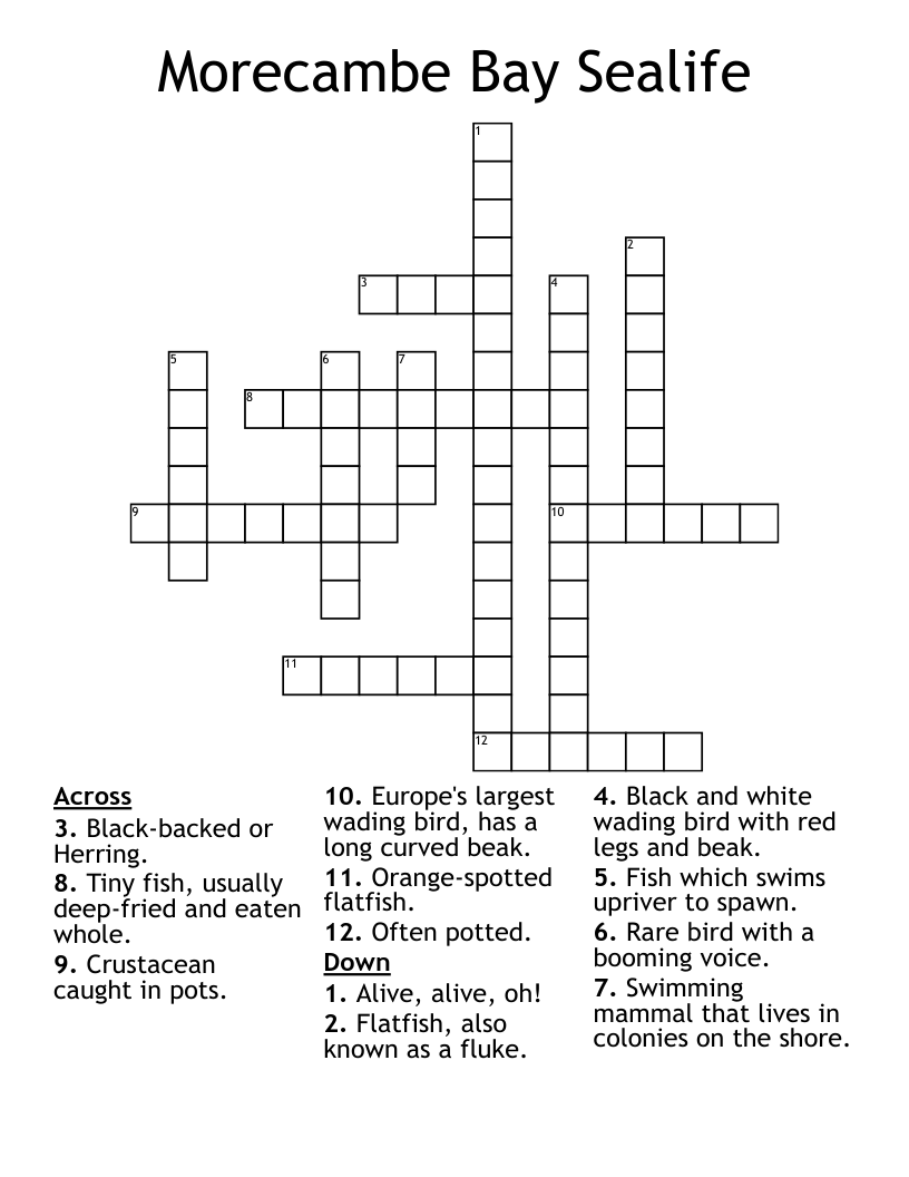 Morecambe Bay Sealife Crossword