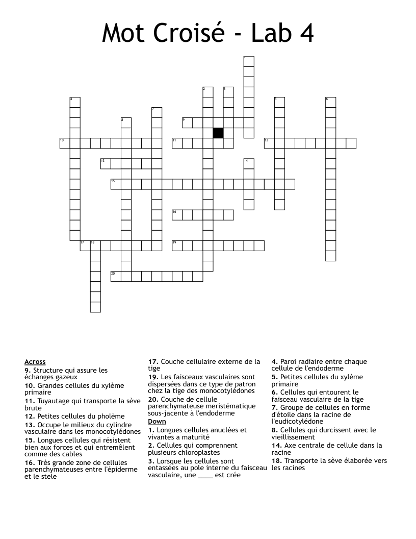 Mot Croisé - Lab 4 Crossword