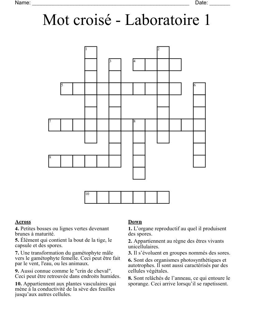 Mot croisé - Laboratoire 1 Crossword