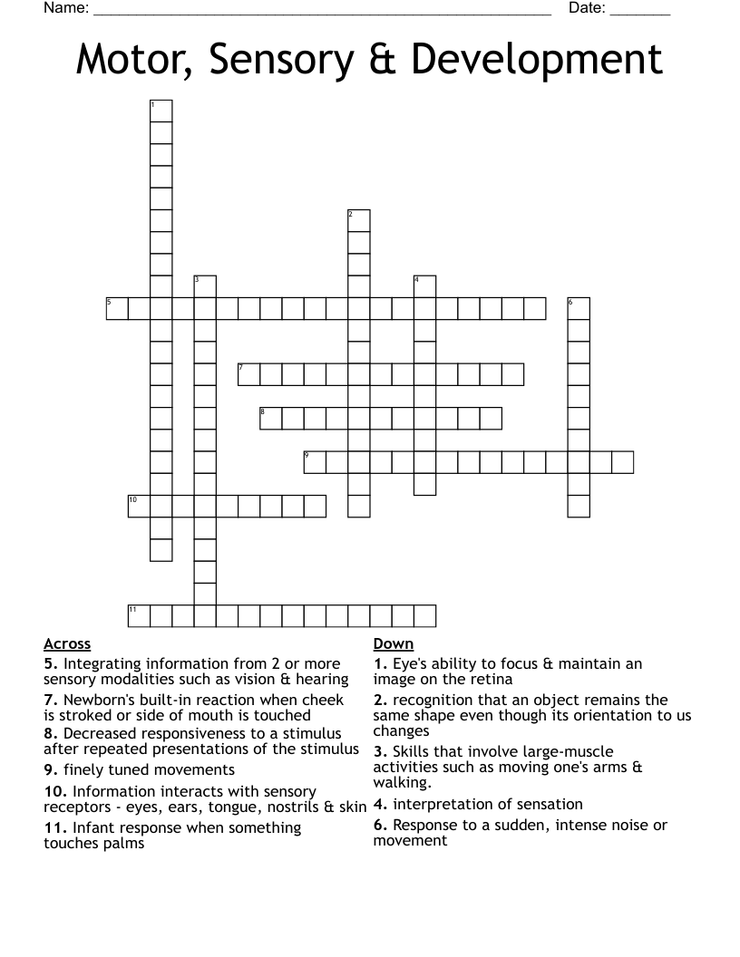 Motor, Sensory & Development Crossword