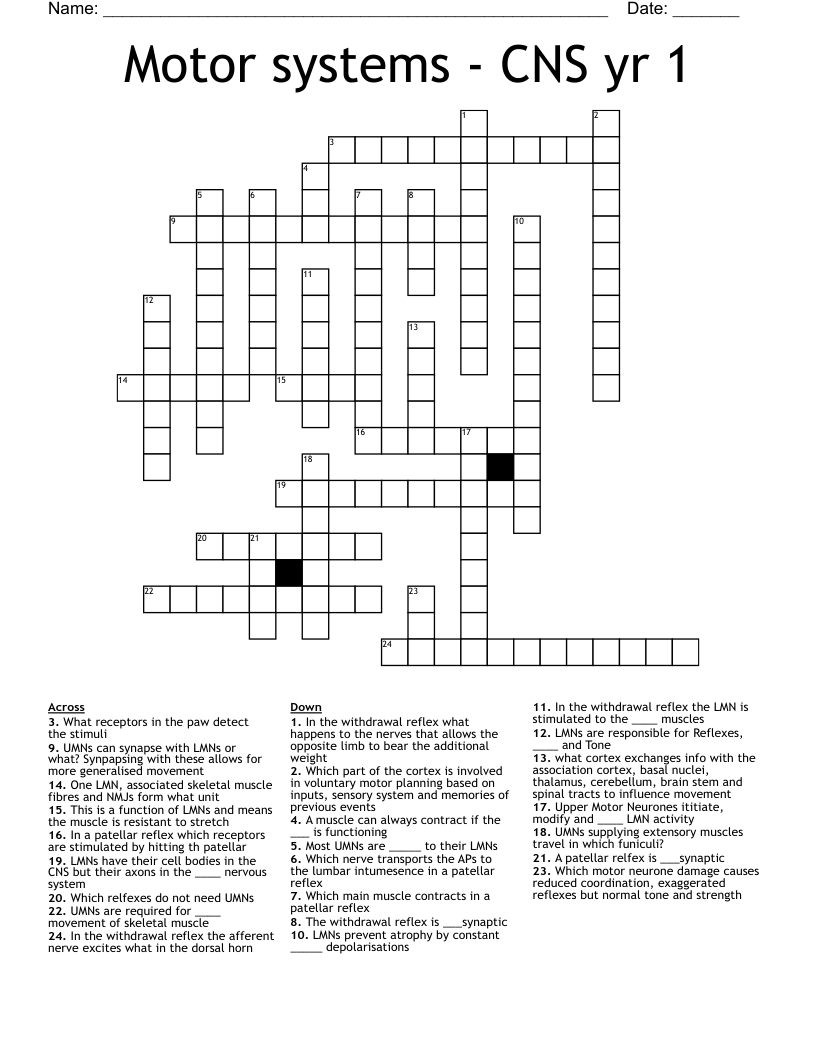 Motor systems - CNS yr 1 Crossword