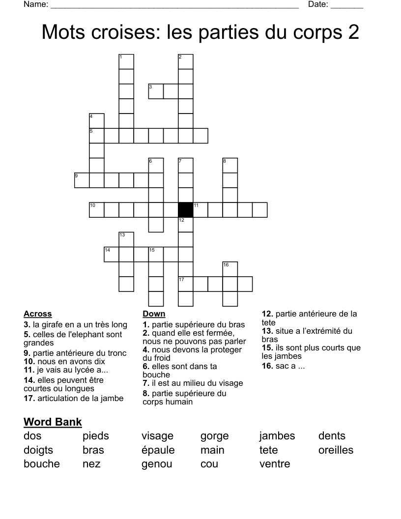 Mots croises: les parties du corps 2 Crossword