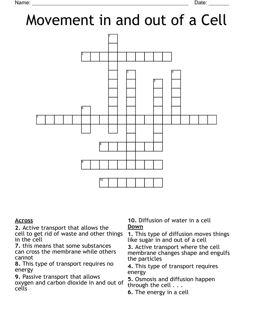 Movement in and out of a Cell Crossword