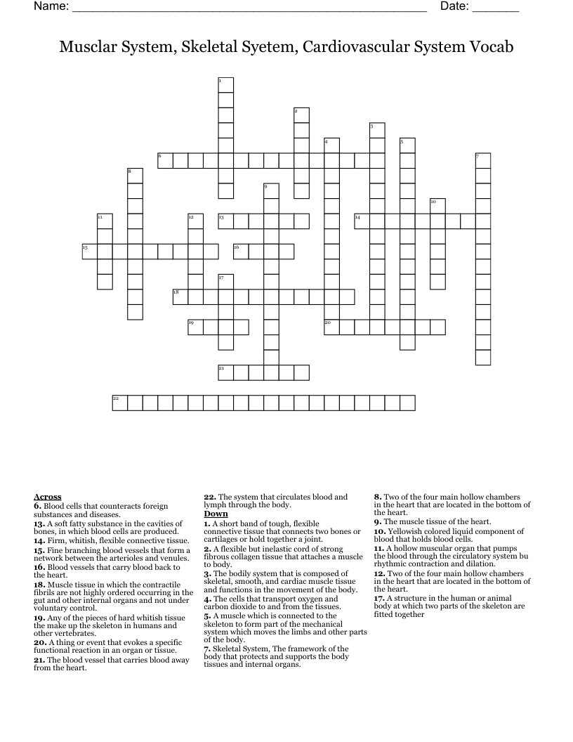 Musclar System, Skeletal Syetem, Cardiovascular System Vocab Crossword