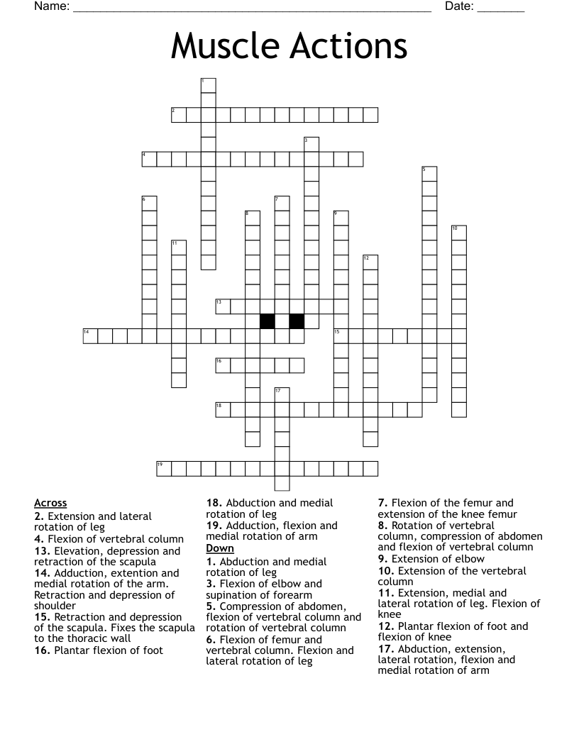 Muscle Actions Crossword