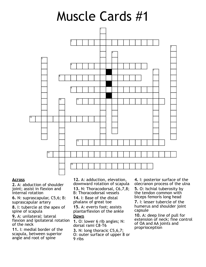Muscle Cards #1 Crossword