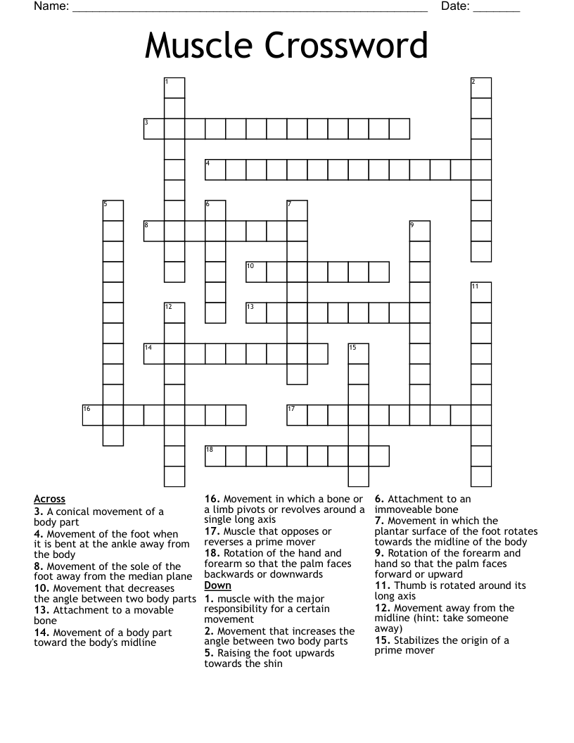 Muscle Crossword