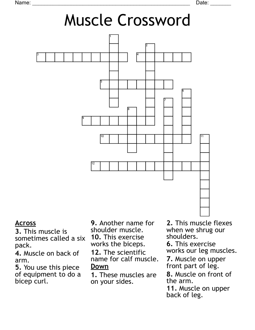 Muscle Crossword