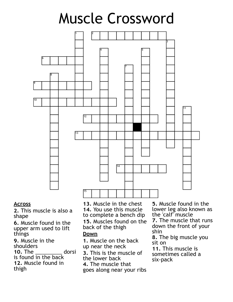 Muscle Crossword
