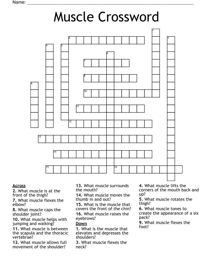 Muscle Crossword