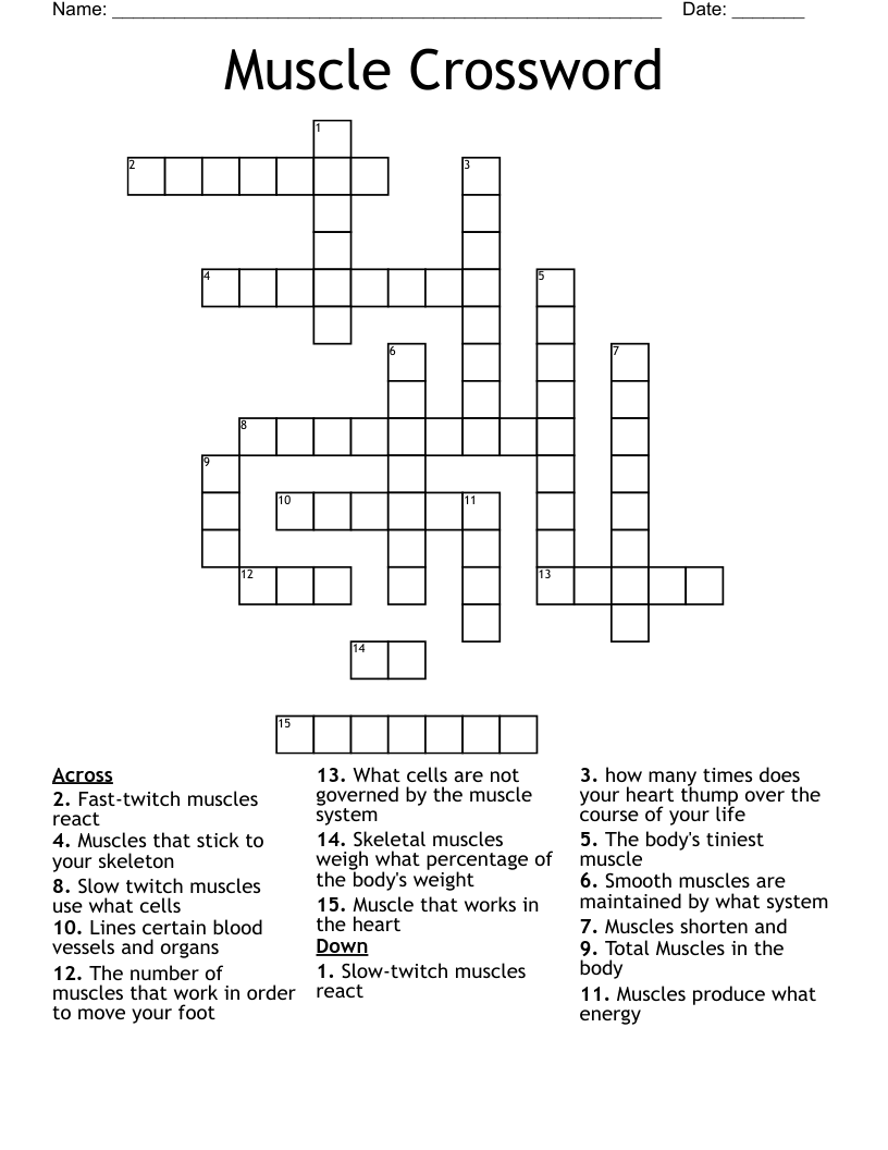 Muscle Crossword