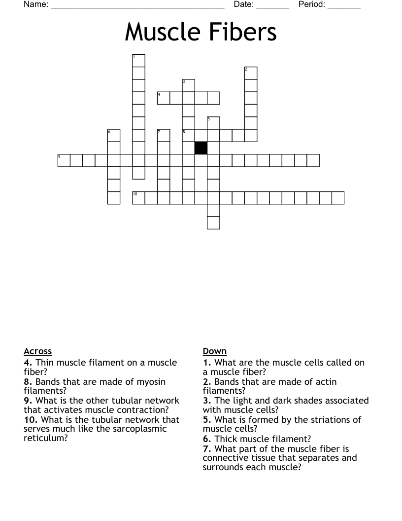 Muscle Fibers Crossword
