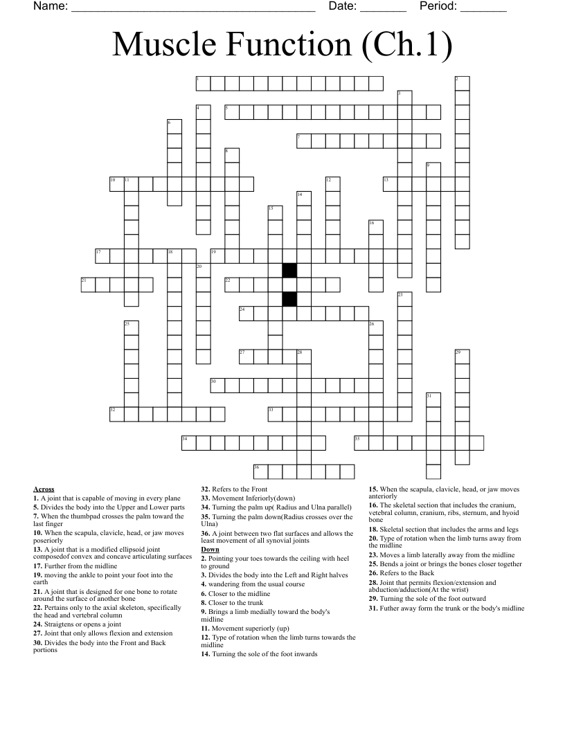 Muscle Function (Ch.1) Crossword