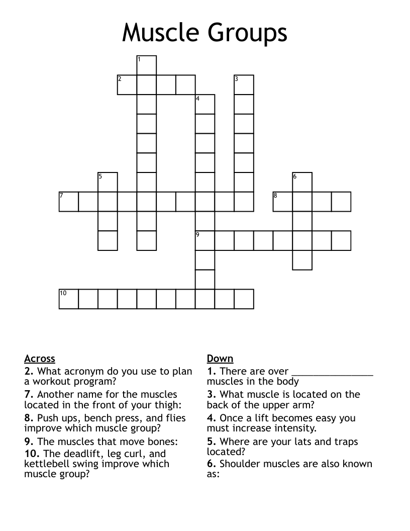 Muscle Groups Crossword