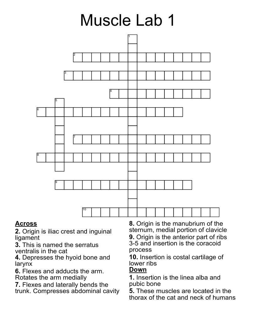 Muscle Lab 1 Crossword
