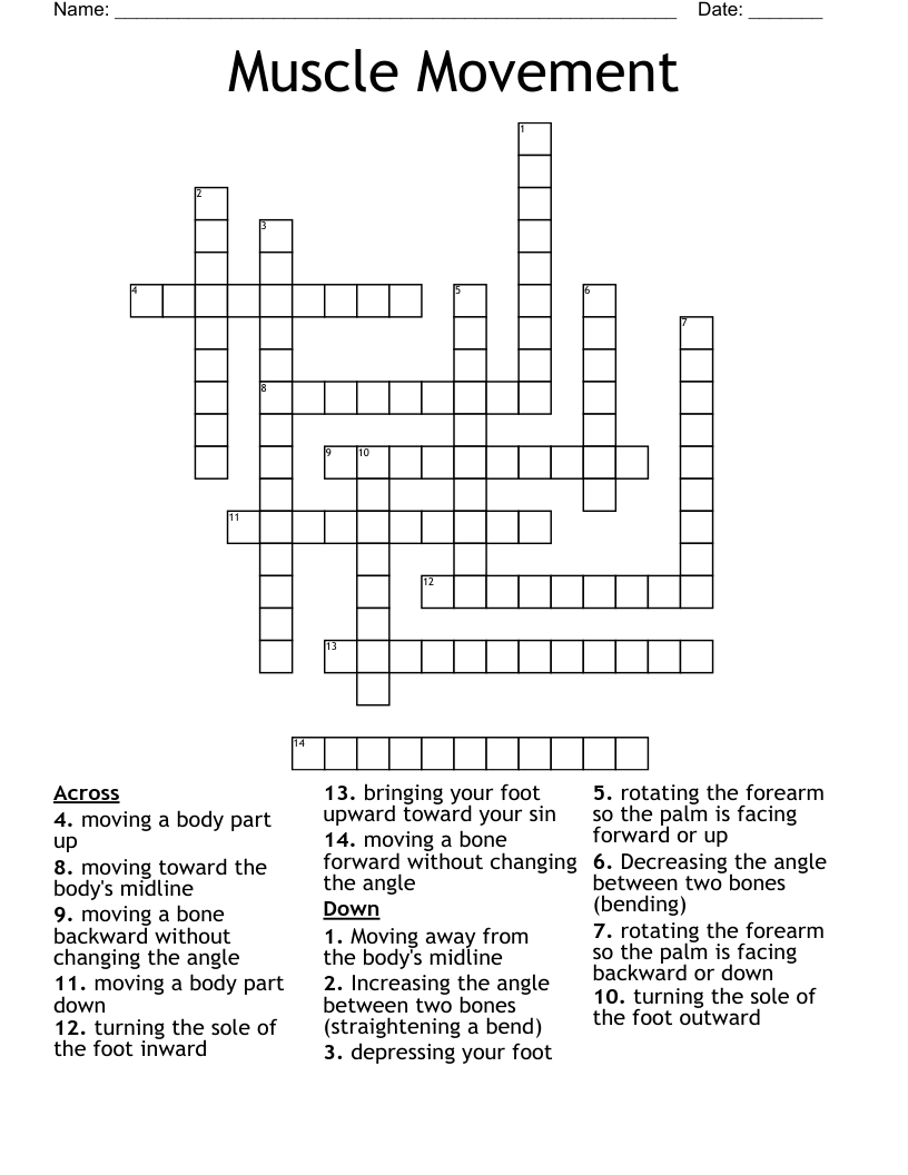 Muscle Movement Crossword